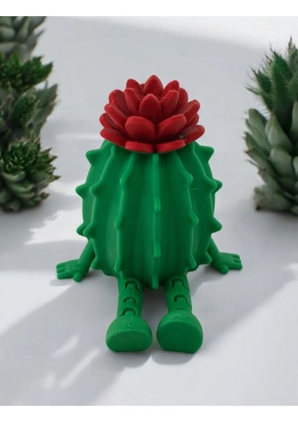 Eklemli Çiçekli Kaktüs Dekor
