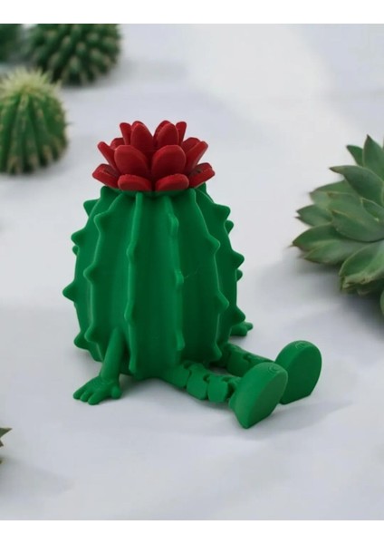 Eklemli Çiçekli Kaktüs Dekor fiyatları