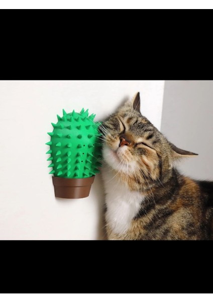 Kaktüs Şeklinde Kedi Kaşıma