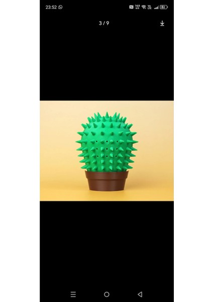 Kaktüs Şeklinde Kedi Kaşıma modelleri