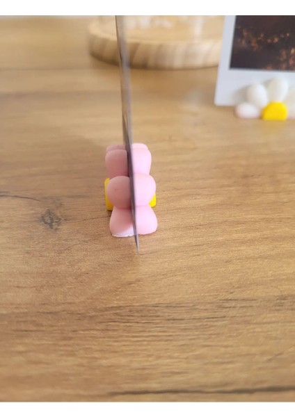 2'li Papatya Modelli Resim Tutucu modelleri