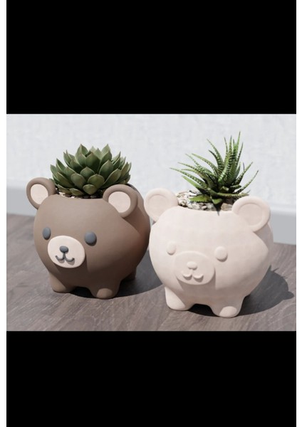 2'li Modern Ayıcık Saksı