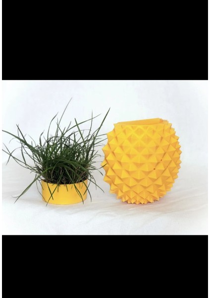 2'si 1 Arada Kedi Otu Saksı ve Kedi Kaşıma modelleri