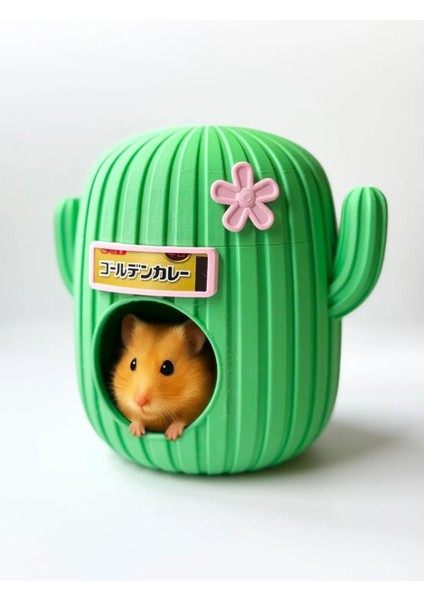 Kilit Kapaklı Kaktüs Model Hamster Yuvasi