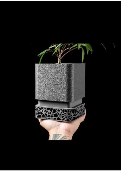 Modern Mimari Saksı