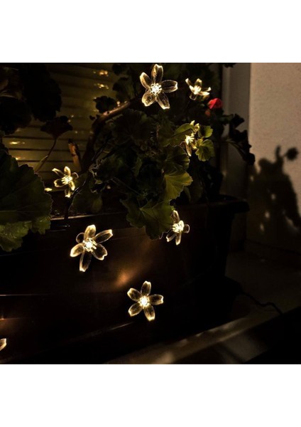 Solar 5m 50 LED Papatya Gün Işığı 8 Fonksiyonlu