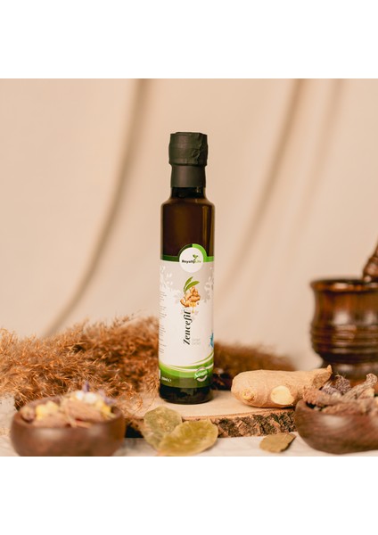 Zencefil Ekstraktı