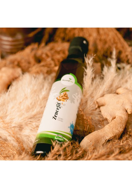 Zencefil Ekstraktı fiyatları