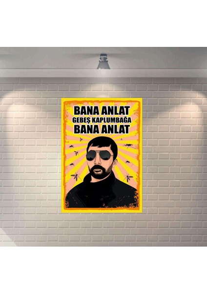 Bana Anlat Gebeş Kaplumbağa Bana Anlat Retro Mdf Duvar Dekarasyon Tablosu