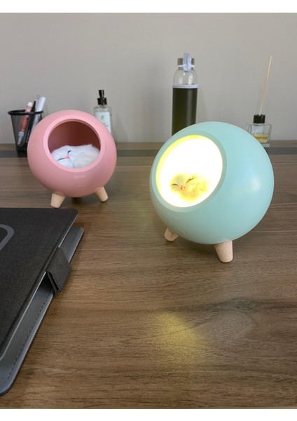 Little Pet House Masa Lambası, Gece Lambası,Abajur fiyatları