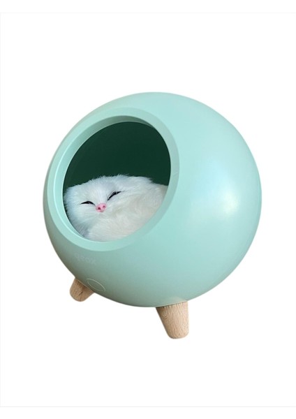Little Pet House Masa Lambası, Gece Lambası,Abajur indirimleri