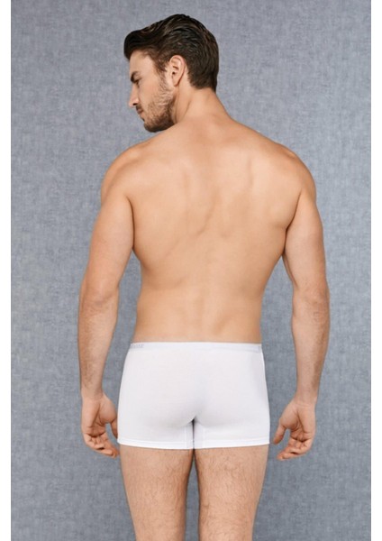Erkek Beyaz Boxer 1717 fiyatları