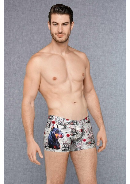 Erkek Modal Köpek Baskılı Boxer 1808