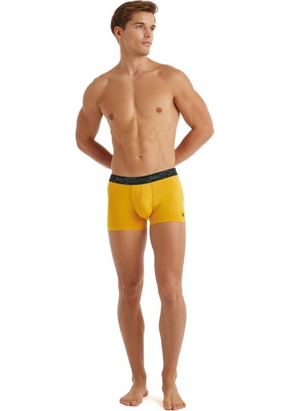 Cotton Sarı Boxer 9555
