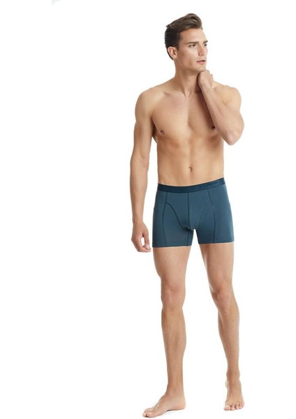 Erkek Aura Antrasit Boxer 9502 fiyatları