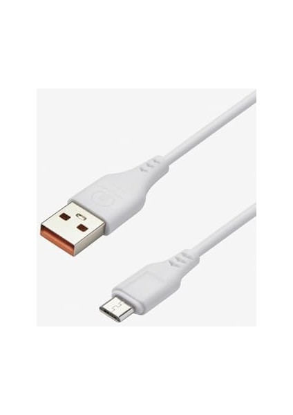 X153 Hızlı Sarj ve Dosya Aktarım Kablosu 2.4 Amper 1 Metre (Type-C)