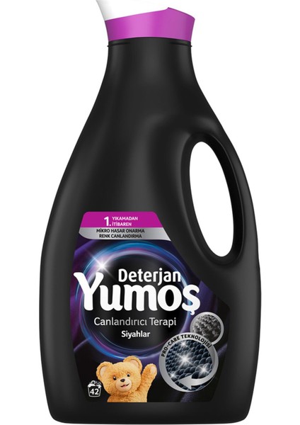 Sıvı Bakım Deterjanı Siyah 42 Yıkama 2.52 lt
