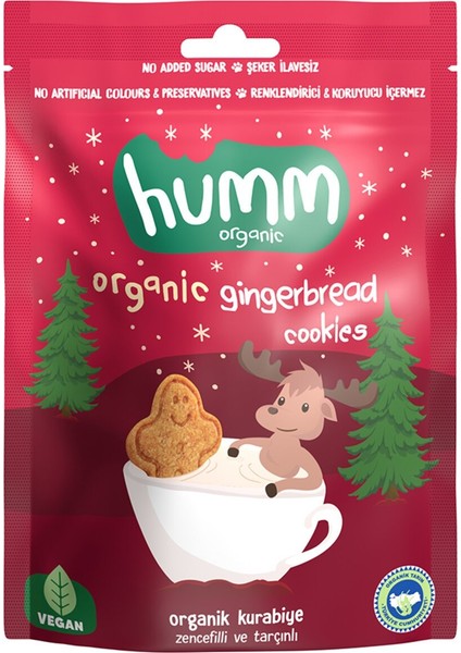 Organic Zencefilli Tarçınlı Vegan Kurabiye 55 G