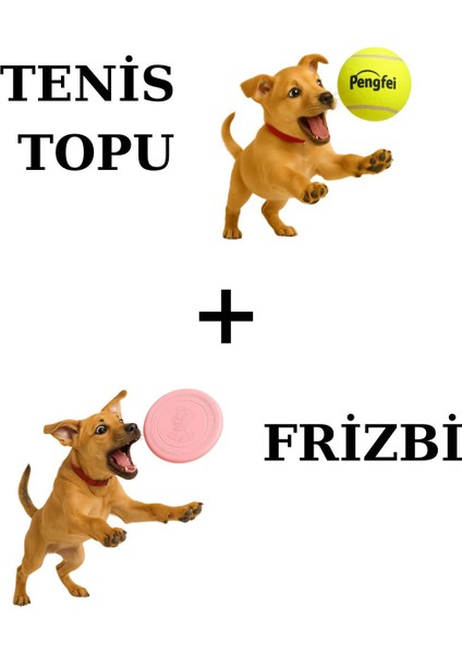 Evcil Hayvan Frizbi - Disk Köpek Oyuncağı - Frizbi Köpek Oyunu - Tenis Topu Kedi Köpek Oyuncağı