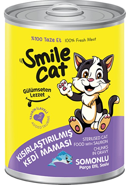 Smilecat Konserve Kısır Kedi Somonlu 400G