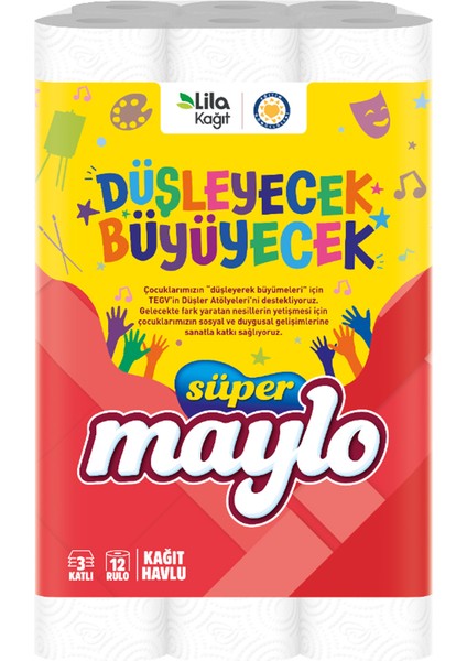 Kağıt Havlu 12'li