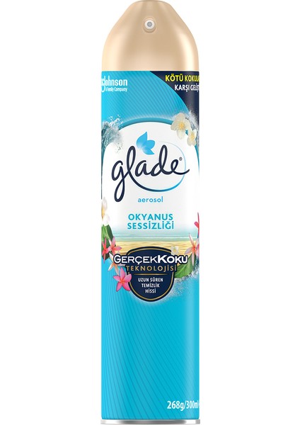 Oda Kokusu Aerosol 300 ml Okyanus Sessizliği