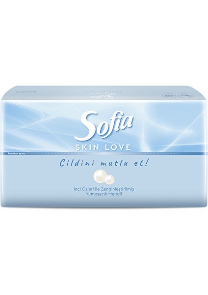 Skın Love Mendil 100'LÜ