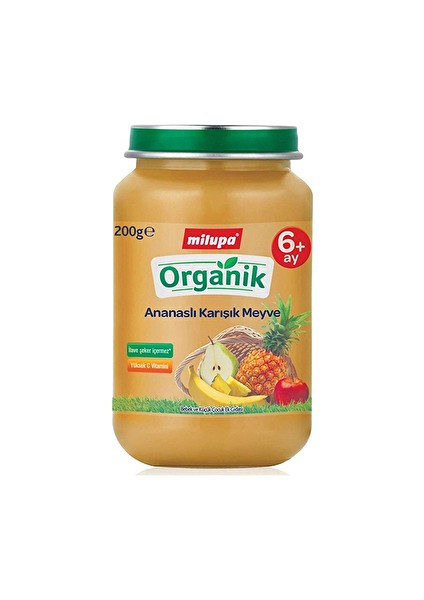 Organik Ananaslı Karışık Meyve (Kavanoz Maması) 200 G