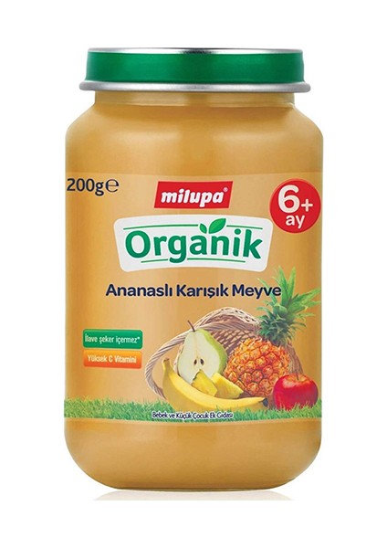Organik Ananaslı Karışık Meyve (Kavanoz Maması) 200 G fiyatları