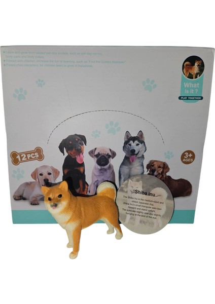 12 Adet Gerçekçi Kaliteli Oyuncak Köpek Figür Bulldog, Labrador, Rottweiler, Sibirya Kurdu, Doberman indirimleri