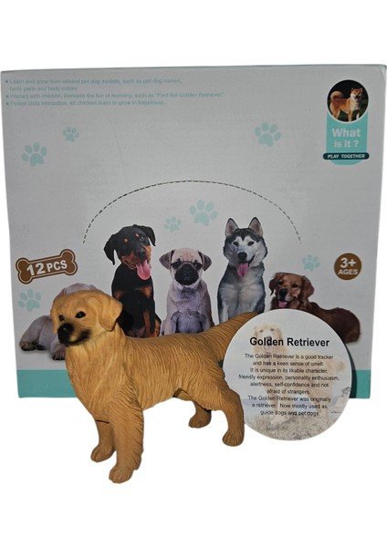 12 Adet Gerçekçi Kaliteli Oyuncak Köpek Figür Bulldog, Labrador, Rottweiler, Sibirya Kurdu, Doberman