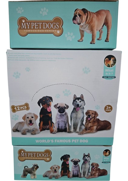 12 Adet Gerçekçi Kaliteli Oyuncak Köpek Figür Bulldog, Labrador, Rottweiler, Sibirya Kurdu, Doberman