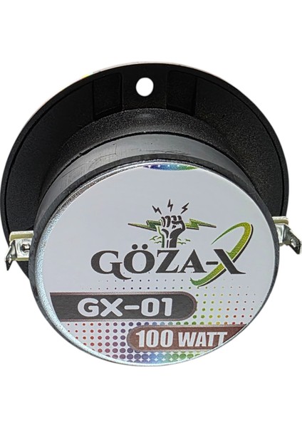 Gx-01 10 cm Dom Tiz 1 Takım2 Adet 100W 50 Rms