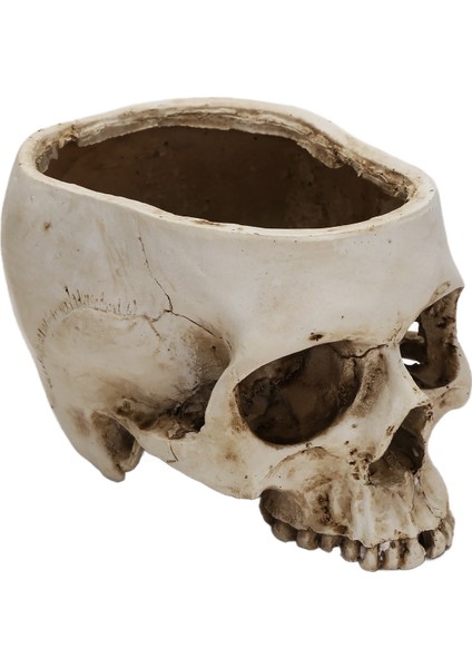 Kafatası I Şamdan Tutucu Kafatası Mumluk Çay Işığı Dak Gotik Reçine Şamdan El Sanatları Cadılar Bayramı Dekoru Için (Yurt Dışından) modelleri