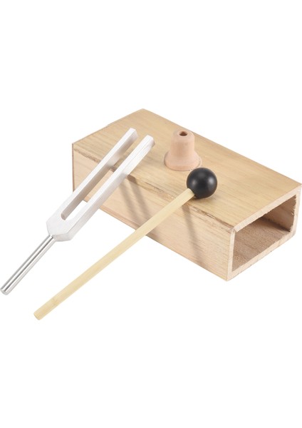 432 Hz Diyapazon Kutusu ile Diyapazon, Ses Şifası, Diyapazon Rezonans Öğretimi, Işitme Testleri, Meditasyon (Yurt Dışından)