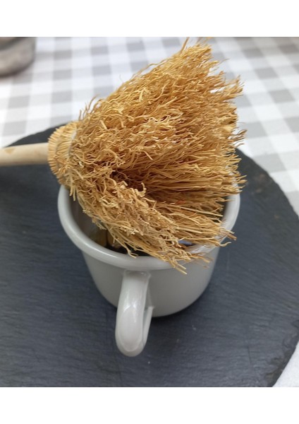 Matcha Çayı Cadı Süpürgesi
