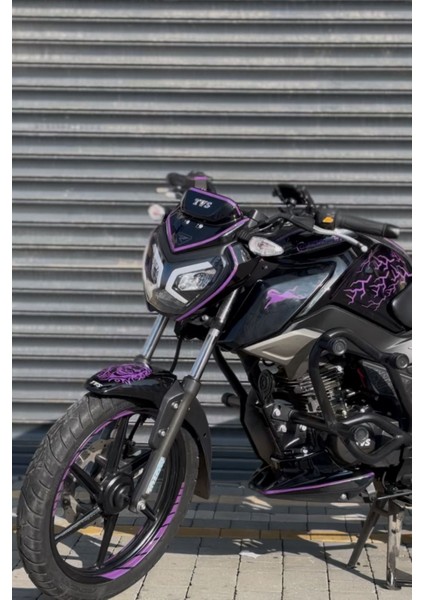 Mor Renkli 49 Parça Sticker Seti Tvs Raider 125 Için, Şık ve Eğlenceli Dekorasyon Hediye