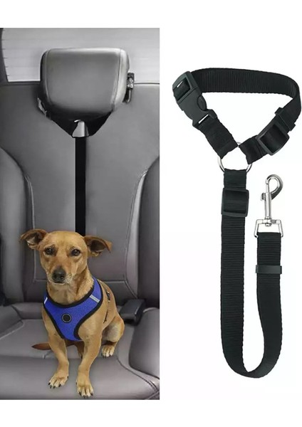Siyah Evcil Hayvan Araç Tasma, Kedi ve Köpek Güvenlik Aksesuarı