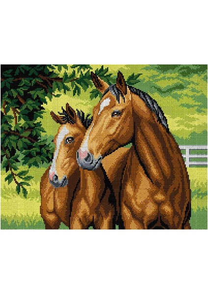 Baskılı Goblen Atlar 3013 40*50 cm