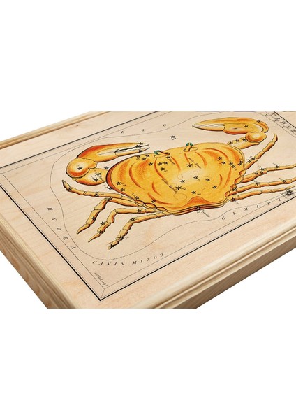 Yengeç Burcu Ahşap Tablo fiyatları