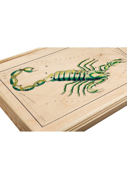 Akrep Burcu Ahşap Tablo fiyatları