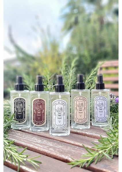 Narenciye Kokulu Soul Of Caria Eau De Kolonya Fısfıslı 100 Ml Cam Şişe fiyatları