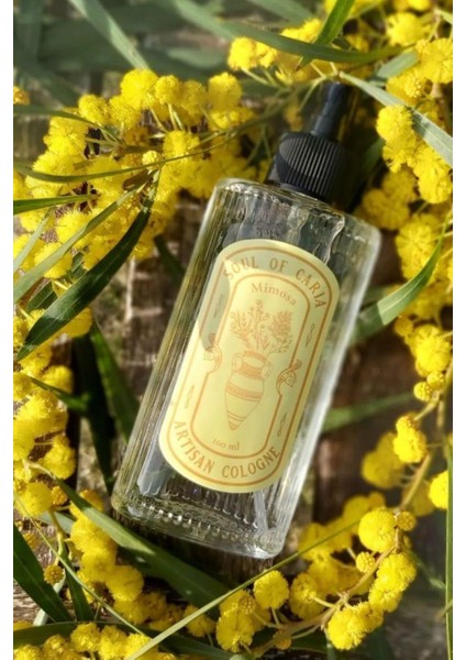 Mimoza Kokulu Soul Of Caria Eau De Kolonya Fısfıslı 100 ml Cam Şişe