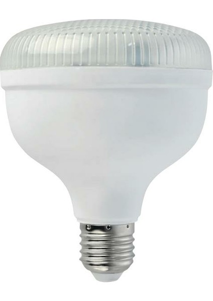 30 Watt Crystal LED Ampul Günışığı