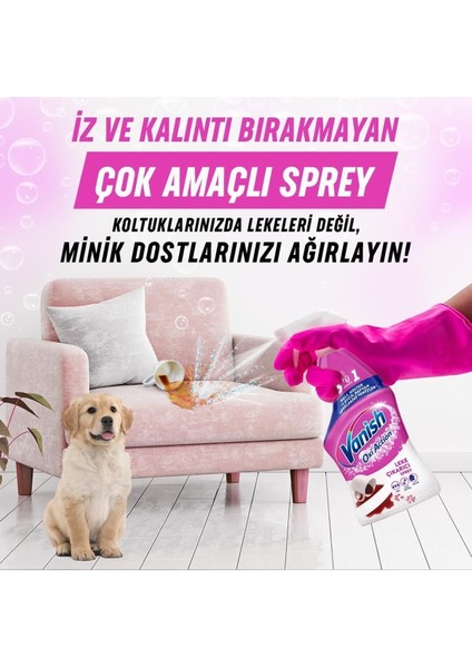 Promosyon Paketi Oxi Action Çok Amaçlı Halı, Koltuk ve Evcil Hayvan Leke Çıkarıcı Sprey 500 ml Pl 5
