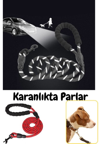 350 ml Köpek Gezdirme Tasması, 1.2 cm Kalınlık x 150 cm Uzunluk Extra Katlanabilir Mama&su Kabı Hed