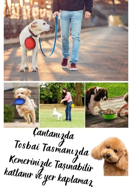 350 ml Köpek Gezdirme Tasması, 1.2 cm Kalınlık x 150 cm Uzunluk Extra Katlanabilir Mama&su Kabı Hed