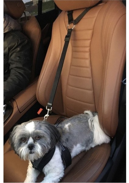 Siyah Evcil Hayvan Kedi Köpek Araç Araba Oto Seyahat Koltuk Başına Takılan Tasma