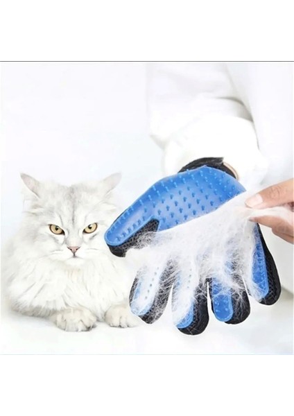 Tüy Toplama Mavi Kedi Köpek Tüy Toplayıcı Kedi & Köpek Tüy Toplama Masaj ve Kaşıma Eldiveni Cn fiyatları