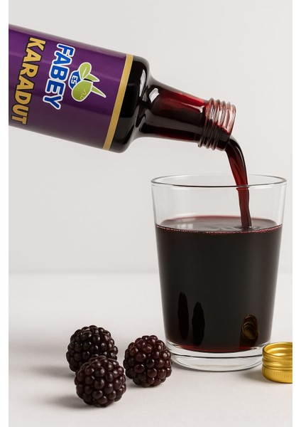Karadut Özü 700ML fiyatları